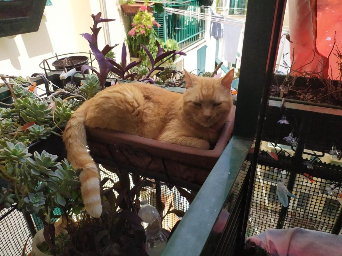 Guest House Elena Γένοβα Εξωτερικό φωτογραφία